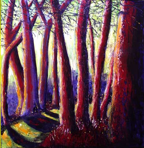 DEVON WOODS IN SPRING